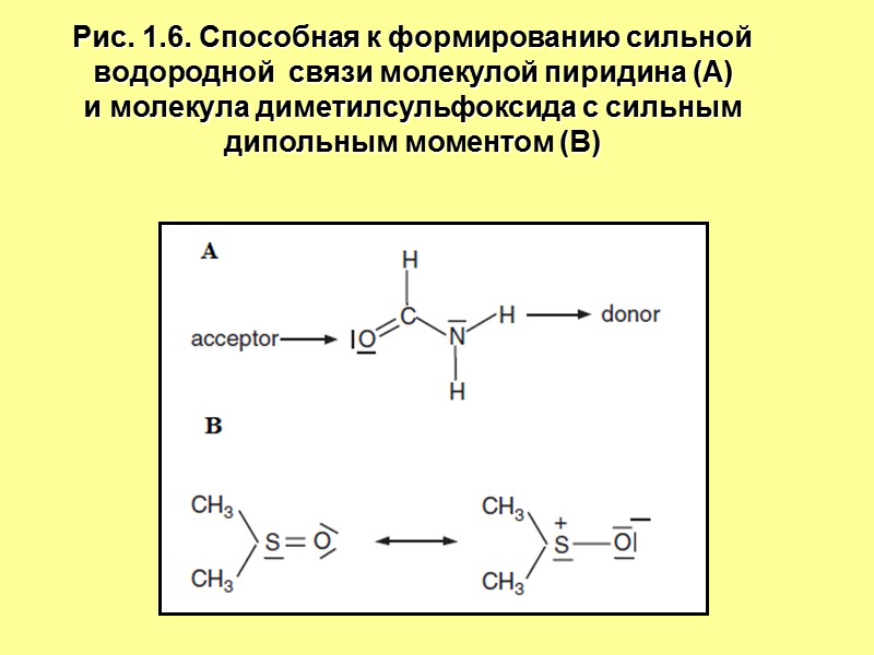 Рис. 1.6. Способная к формированию сильной  водородной  связи молекулой пиридина (А) 